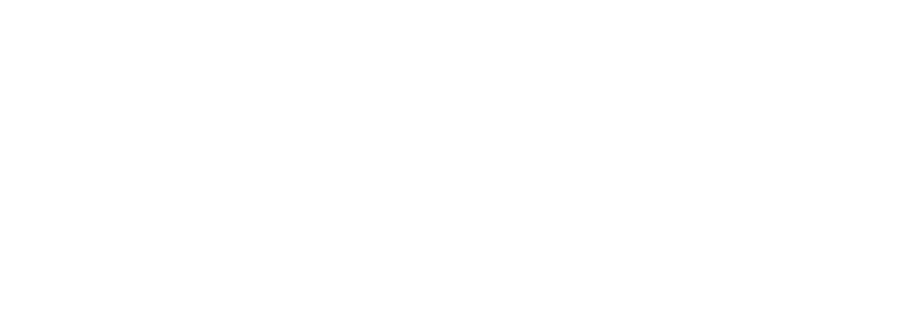 Engelhardt Consulting